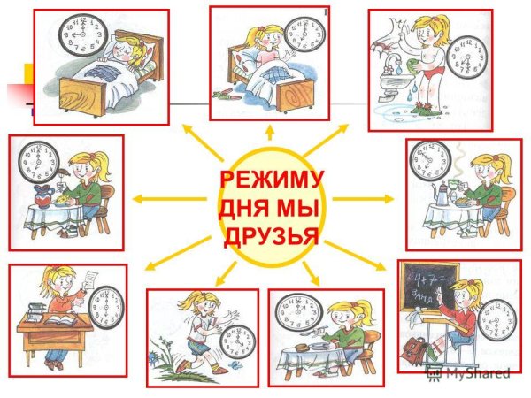 Распорядок дня