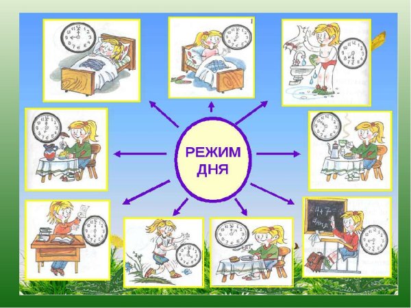 Режим дня рисунок