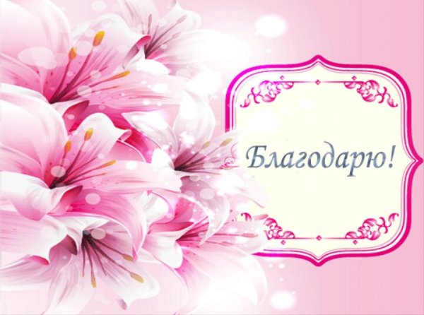 День благодарности