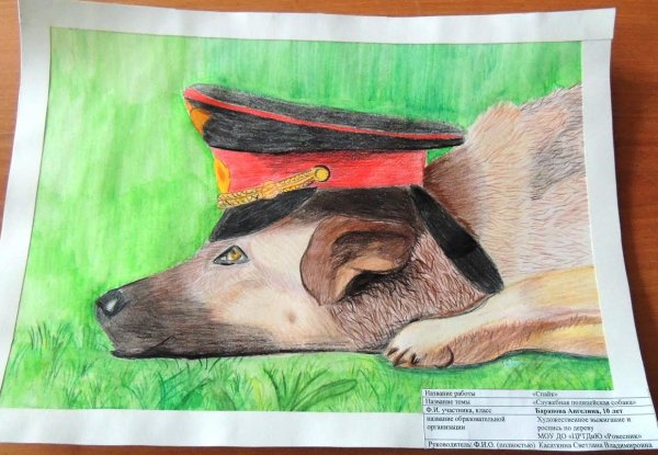 Рисунок на тему животные на войне