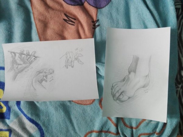 Рисование на каждый день