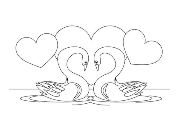Лебедь раскраска для детей
