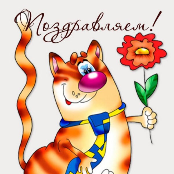 Прикольные открытки