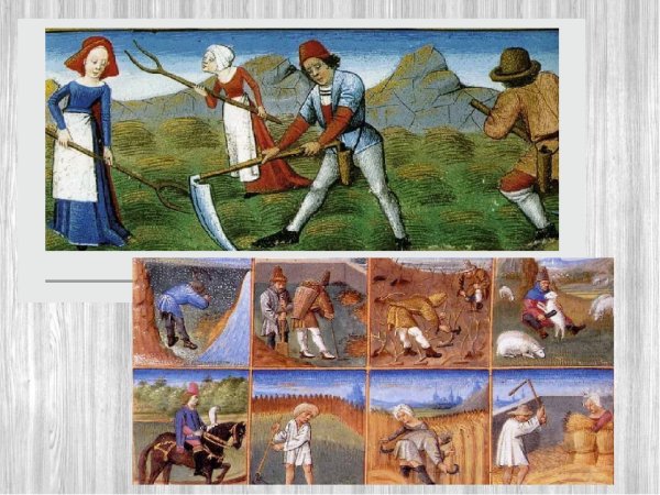 Средневековая деревня и ее обитатели Крестьянская община