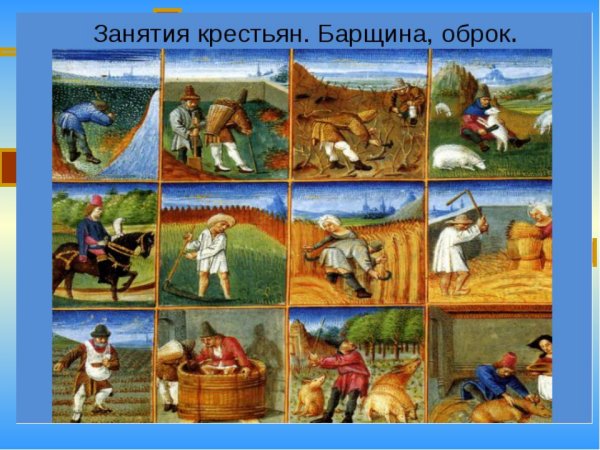 Занятия крестьян в средневековье