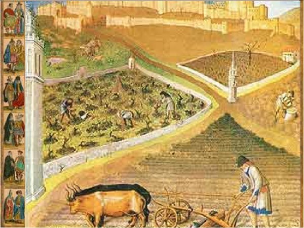 Средневековая деревня 11 век