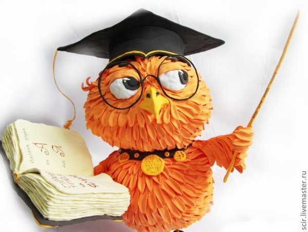 Сова учитель