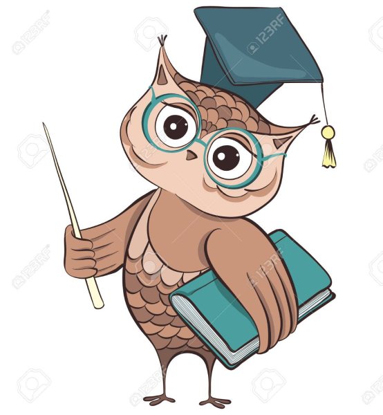 Сова с указкой и книгой