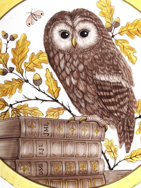 Мудрые Совушки