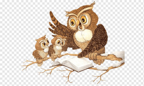 Совушка с книгой
