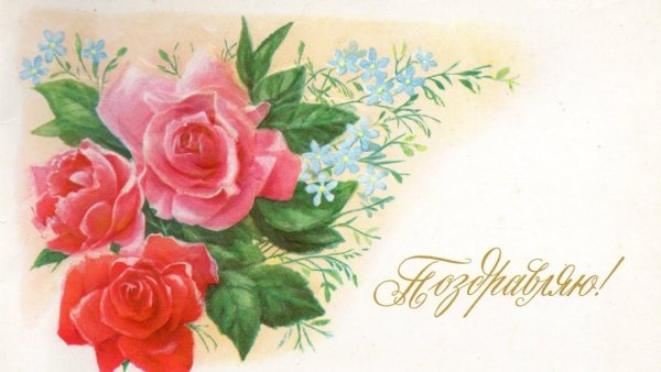 Открытка цветы