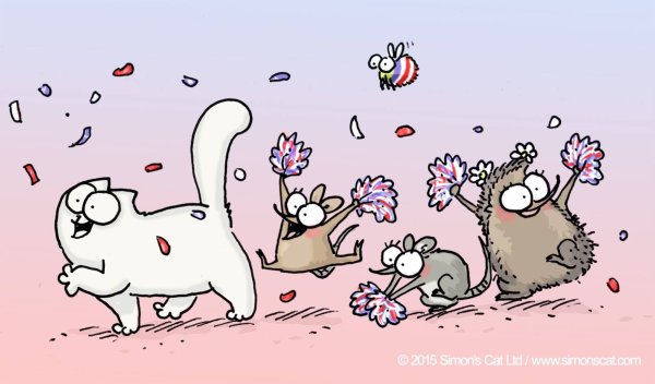 Кот Саймон др