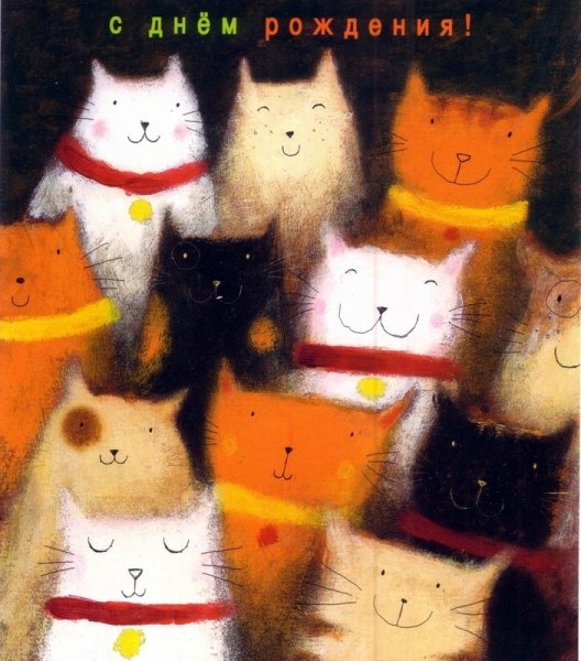 Открытка с днём рождения с котом