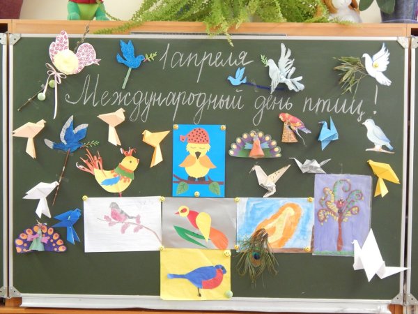 Международный день птиц в школе