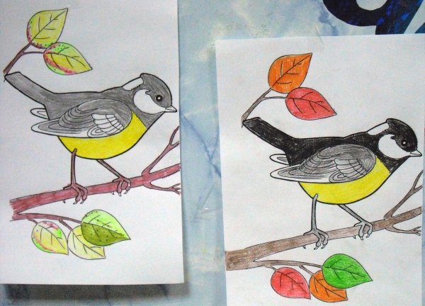 Синичкин календарь рисунок