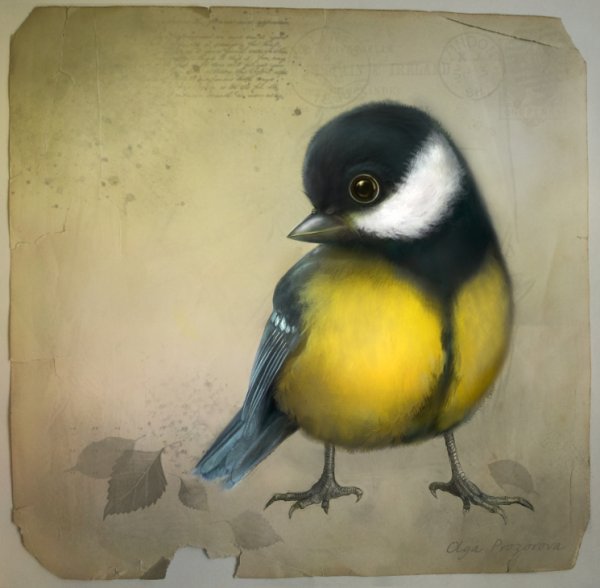 Открытки с днём синички