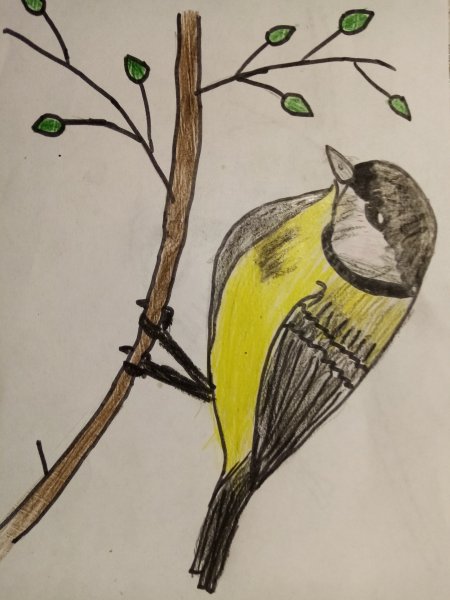 Синичкин день рисунок конкурс