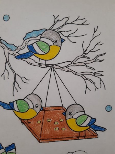 Синичкин день рисунок