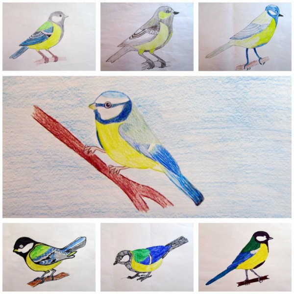 Рисование Синичкин день