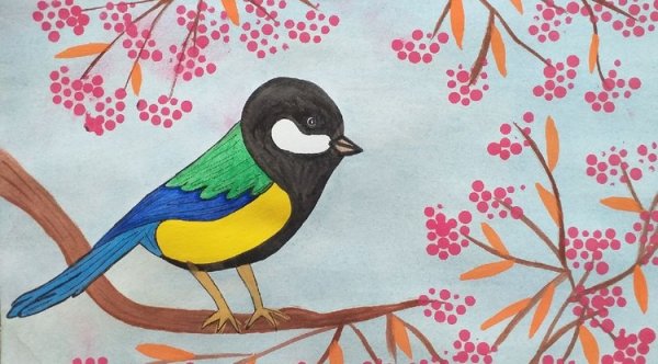 Синичкин день картинки для детей