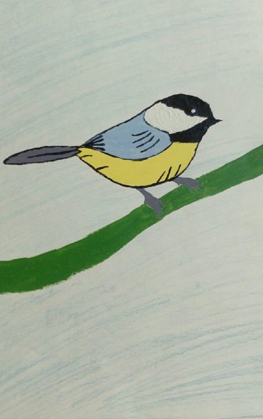 Детские рисунки Синичкин день