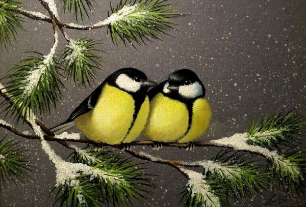 Синичка зимой