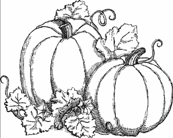 Тыква раскраска