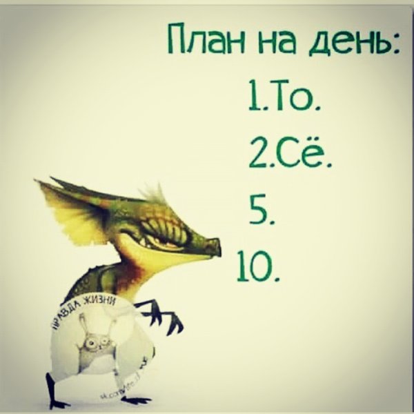 План на день