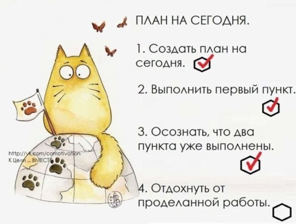 Смешные планы на день
