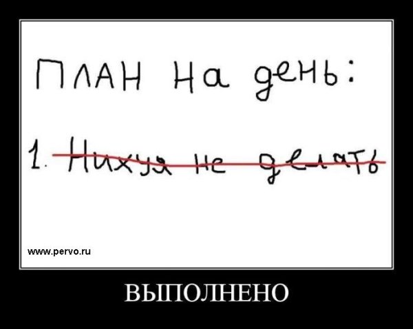 Смешные планы на день