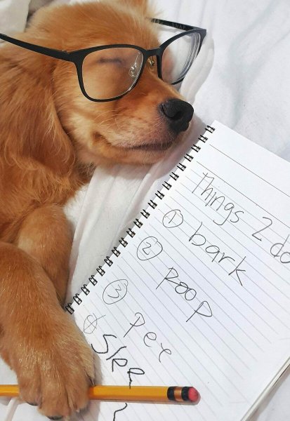 План на день