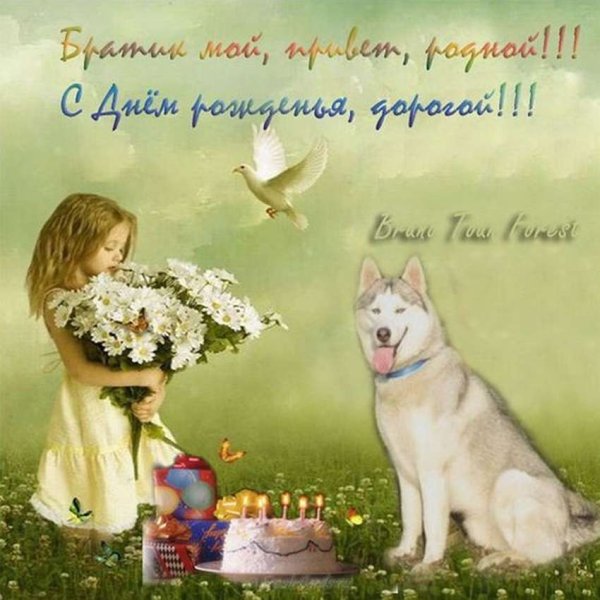Открытки с днём рождения брату