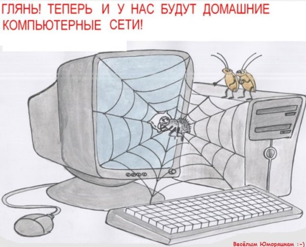 Компьютер в паутине
