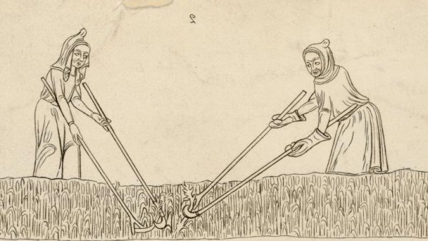 Жизнь крестьян в средние века рисунок