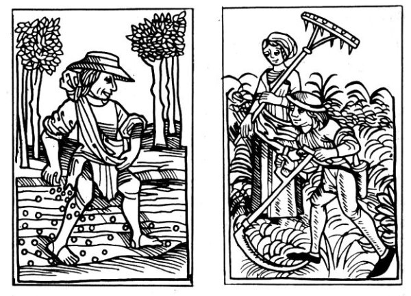 День средневекового крестьянина