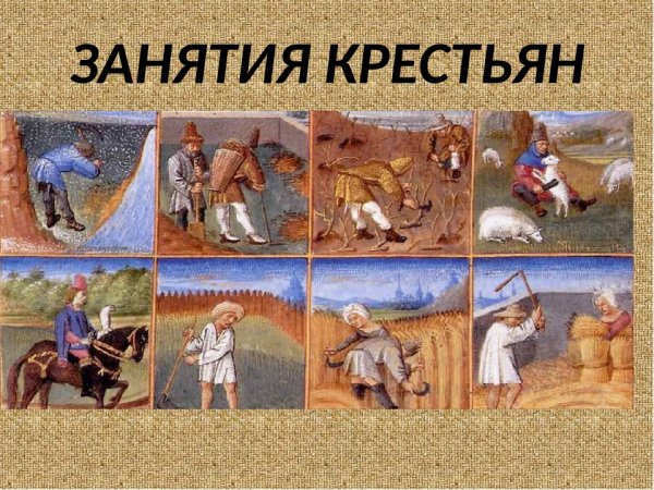 Занятия крестьян