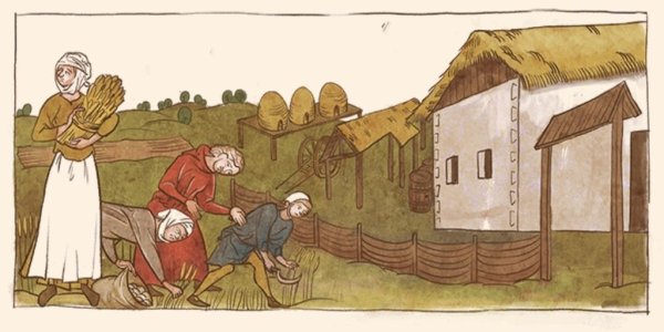 Английское крестьянство в средние века