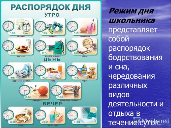 Режим дня школьника