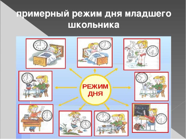 Распорядок дня школьника