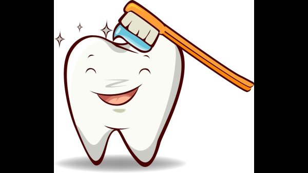 Зуб иллюстрация