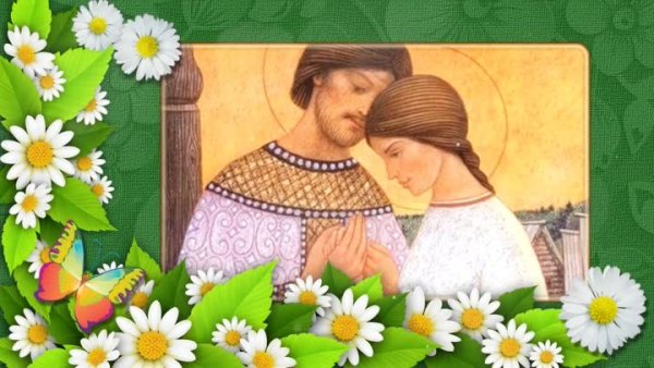 Петр и Феврония ромашки