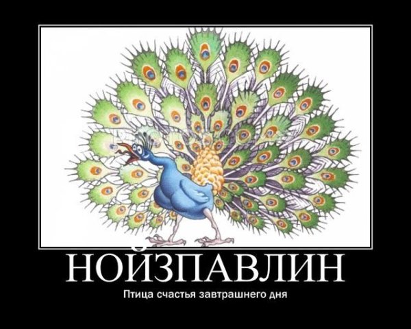 Птица птица счастья завтрашнего дня