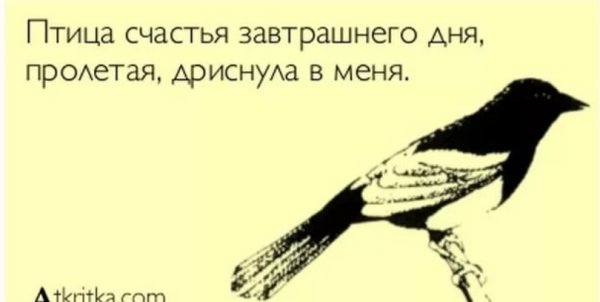 Птица счастья завтрашнего дня