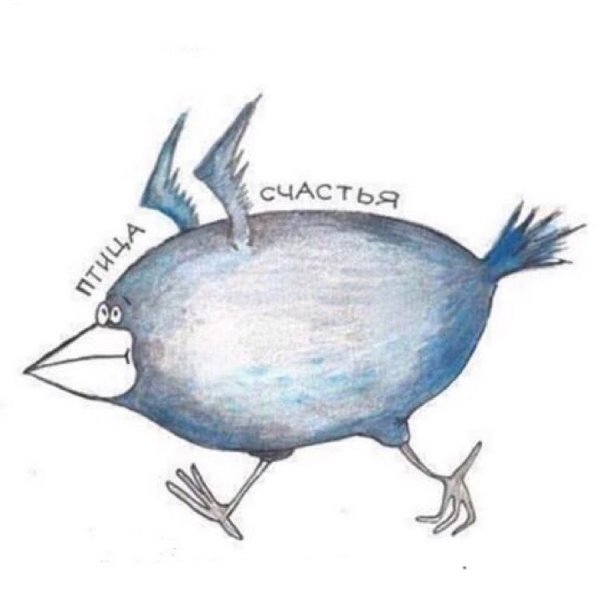 Выбери меня выбери меня птица счастья завтрашнего дня