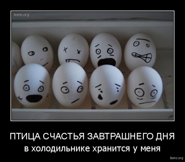 Птица счастья завтрашнего дня