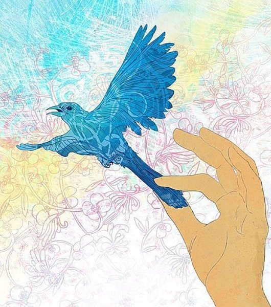 Иллюстрации сказочных птиц