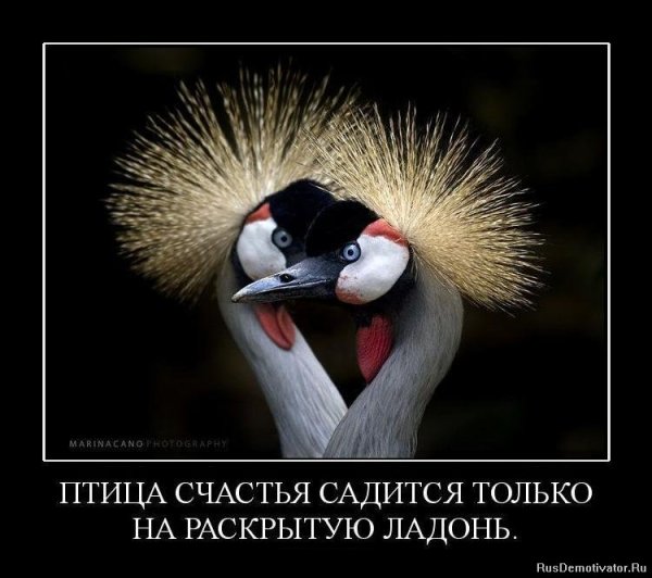 Феникс в христианском искусстве