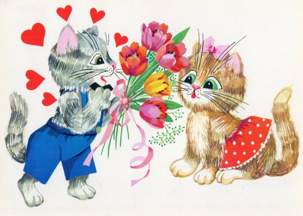 Открытка «котики»