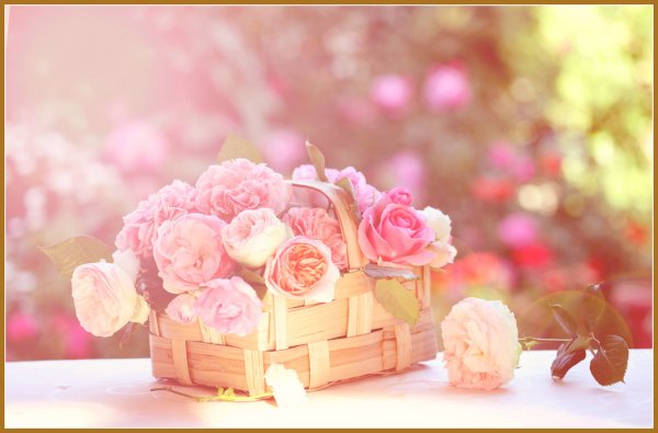 С днем рождения нежные цветы