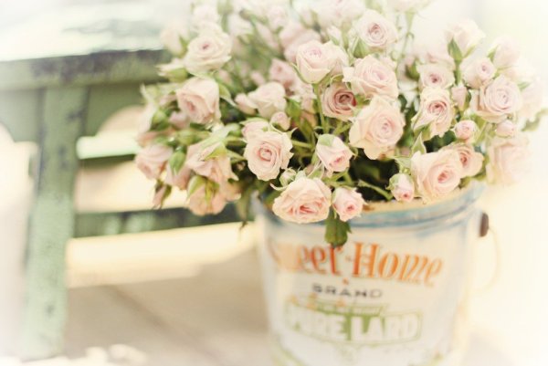 С днем рождения нежные цветы